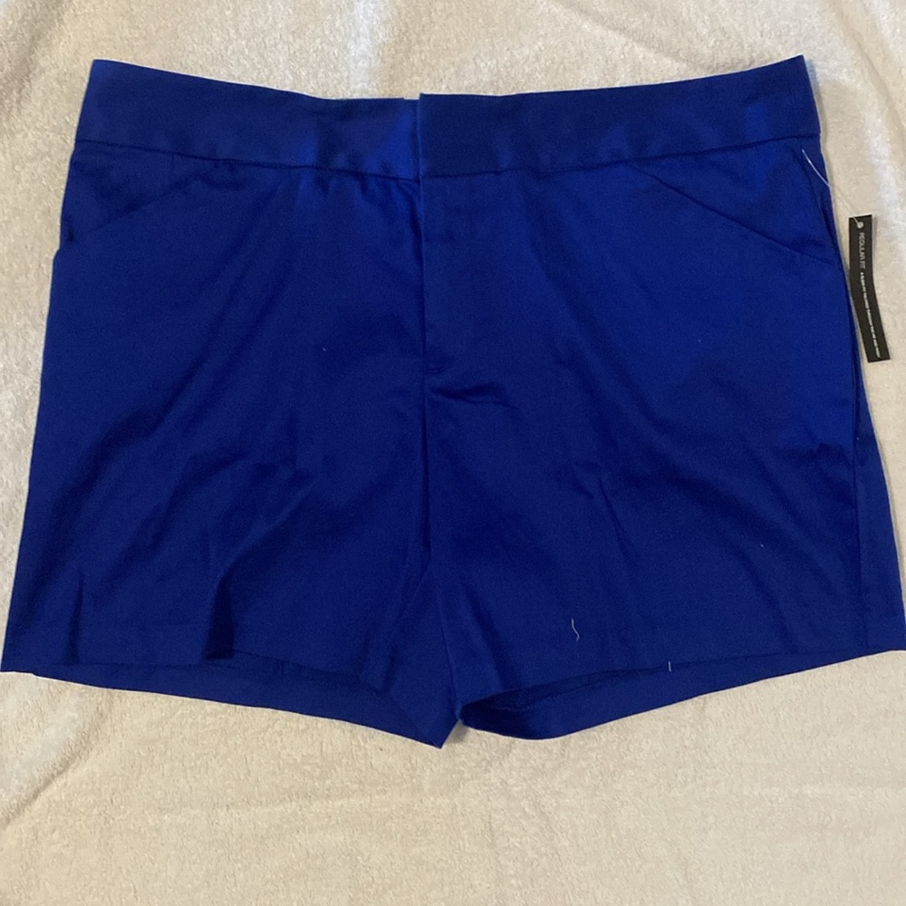 NWT INC International Concepts Blue Shorts 14